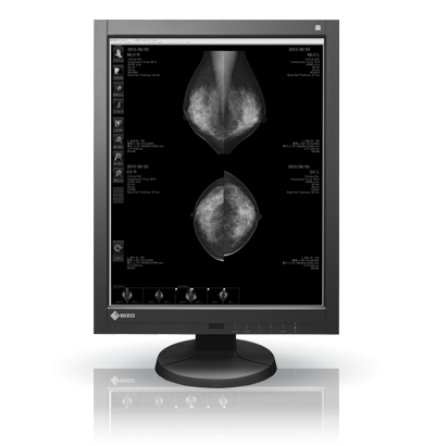 EIZO RadiForce GX540, product photo
